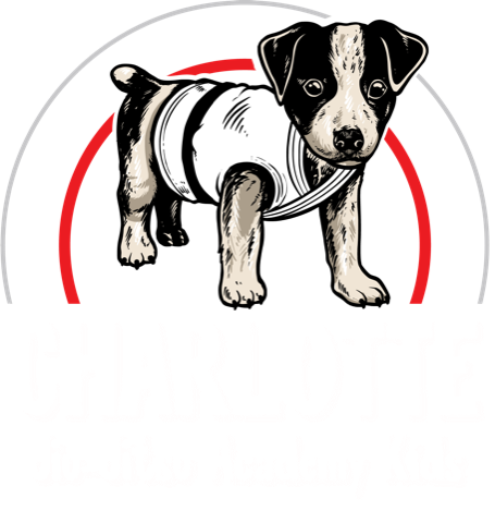 Charlotte Jiu-Jitsu Academy Kids